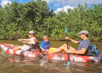 kayak vacations