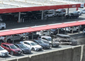 avis jfk airport