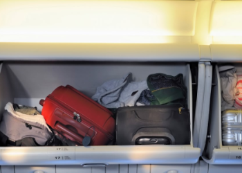 carry on delta weight limit