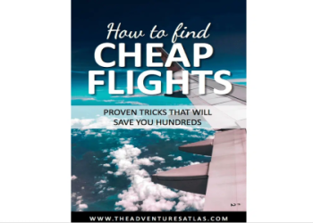 find the cheapest flights