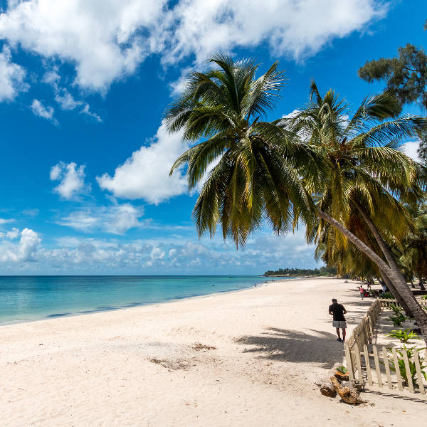 flights to mozambique