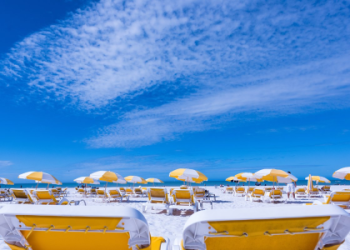 flights to clearwater florida