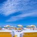 flights to clearwater florida