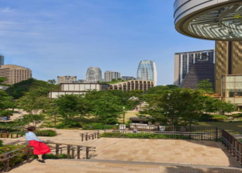 cheap flights honolulu