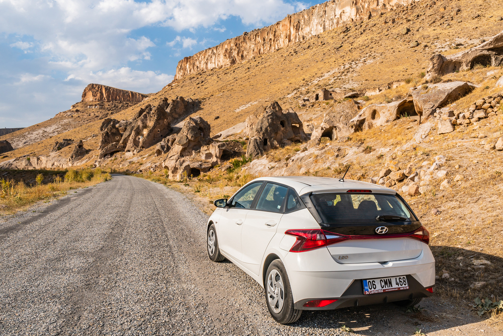can you take a rental car out of state