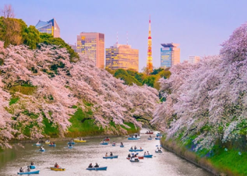 cheap airfare to tokyo