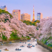 cheap airfare to tokyo