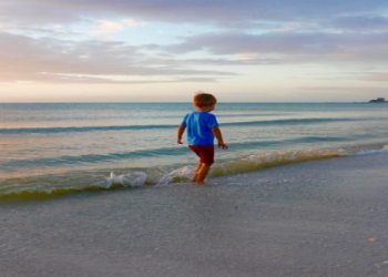 airfare to clearwater fl