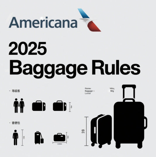american airlines baggage policy