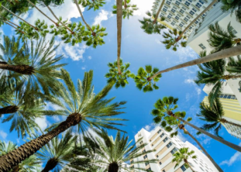 cheap flights to miami