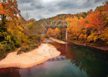 cheap flights to savannah