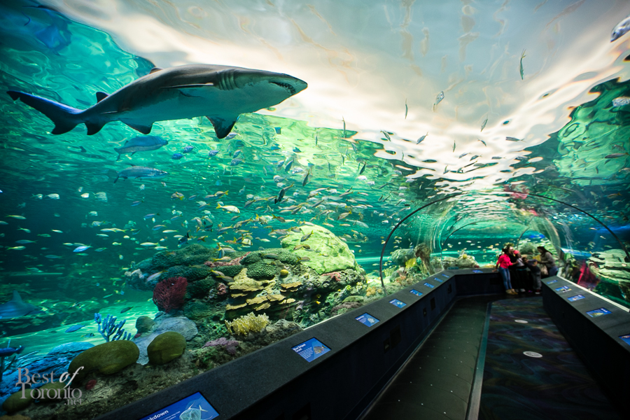 best aquariums in the us