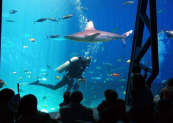 best aquariums in the us