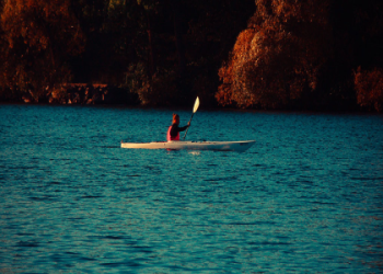 kayak car rental seattle