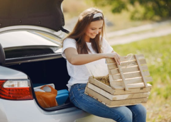 car rental australia