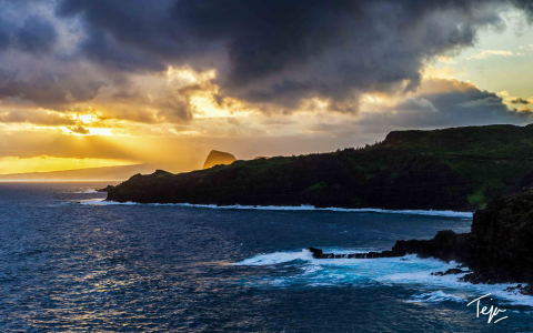 flights to hawaii from austin