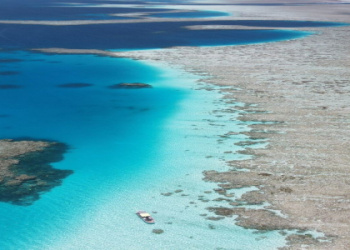 cheap flights to honolulu