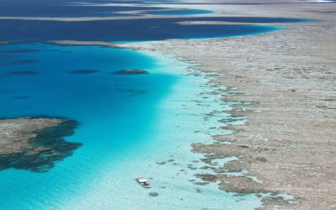 cheap flights to honolulu