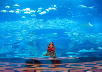 hotel atlantis dubai